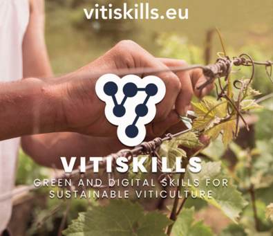 PARTITO IL VITISKILLS TRAINING TOUR IN ITALIA